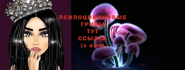 гашик Верхнеуральск