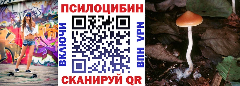 blacksprut ссылка  дарнет шоп  Ноябрьск  Псилоцибиновые грибы Psilocybe 
