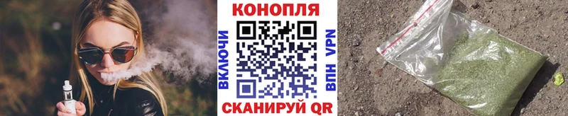 как найти Ноябрьск Канабис тримм